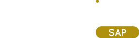 sap-icon